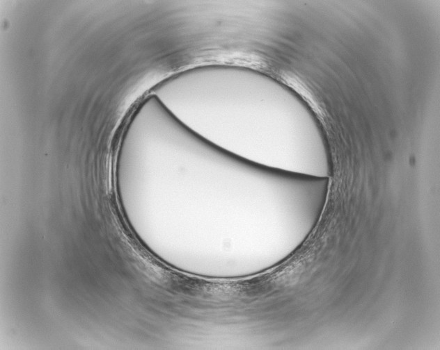 X0000088171079200705150945