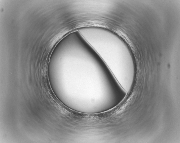 X0000088171081200705150944