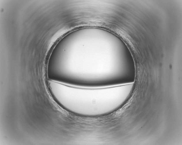 X0000088171085200705150944