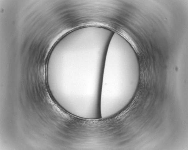 X0000088171092200705150944