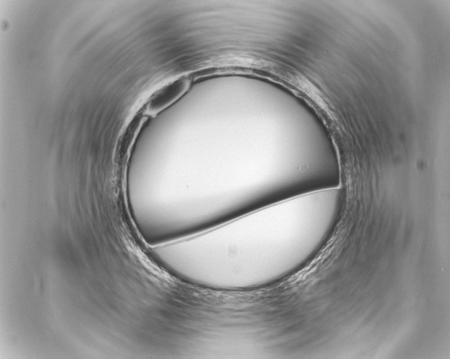 X0000088171116200705150944