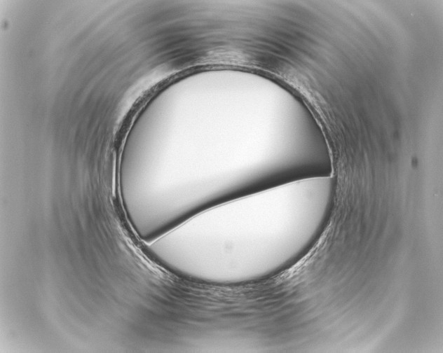 X0000088171123200705150944