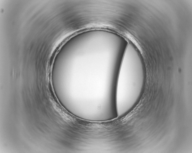X0000088171124200705150944