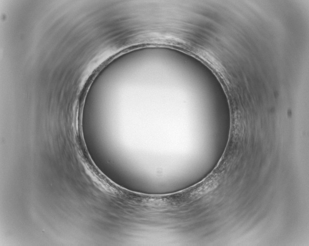 X0000088171128200705150944