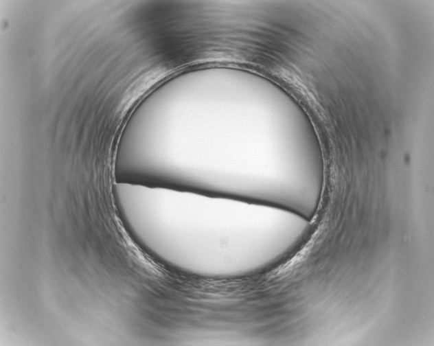 X0000088171129200705150944