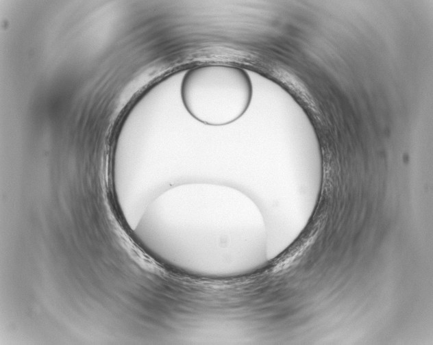 X0000088171130200705150944