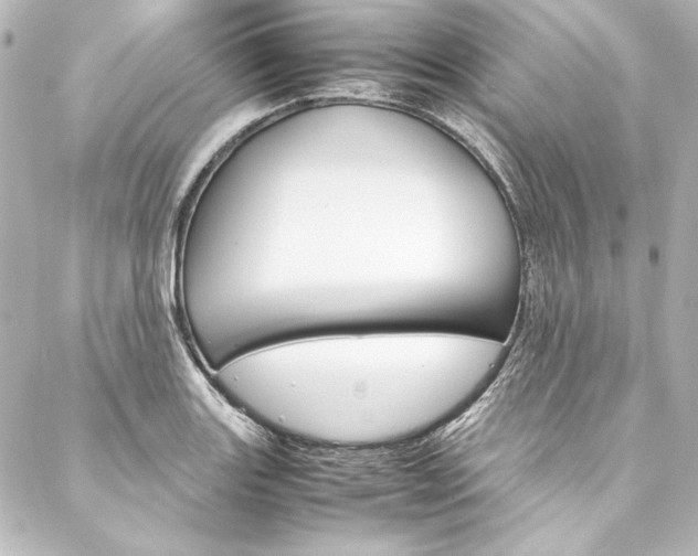 X0000088171131200705150944