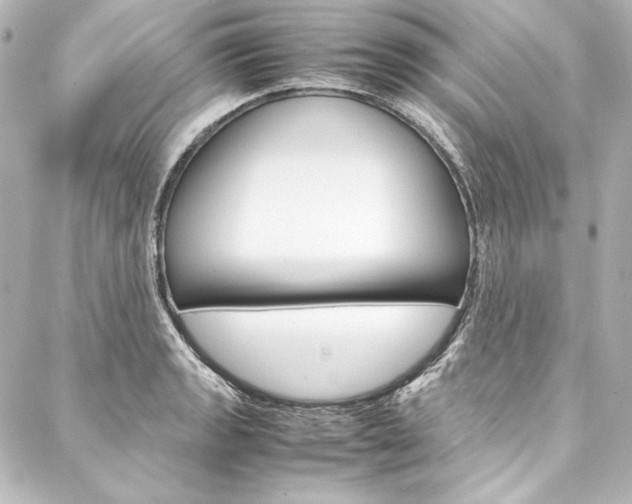 X0000088171133200705150944