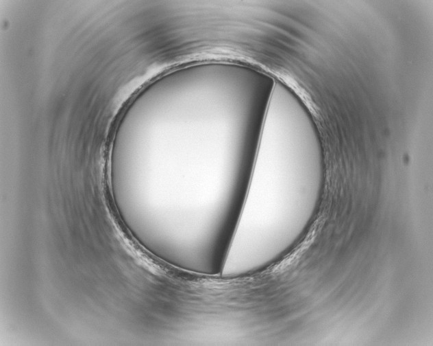 X0000088171134200705150944