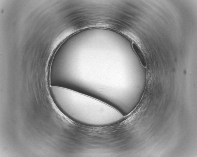 X0000088171135200705150944
