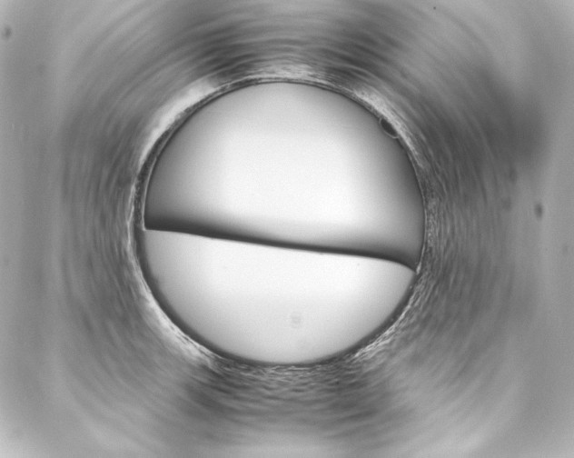X0000088171139200705150944