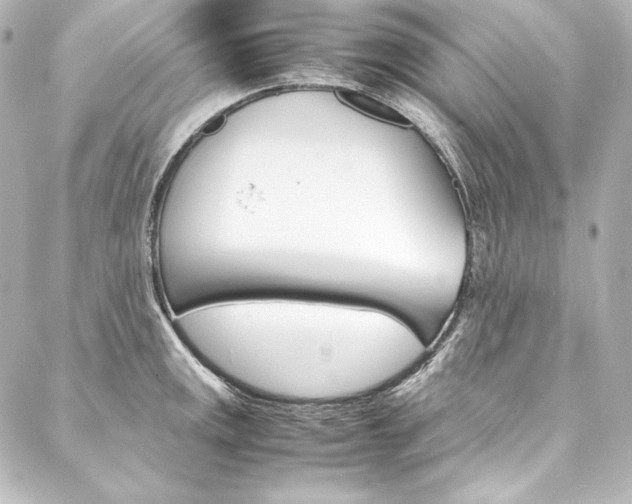 X0000088171141200705150944