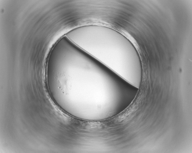 X0000088171144200705150944