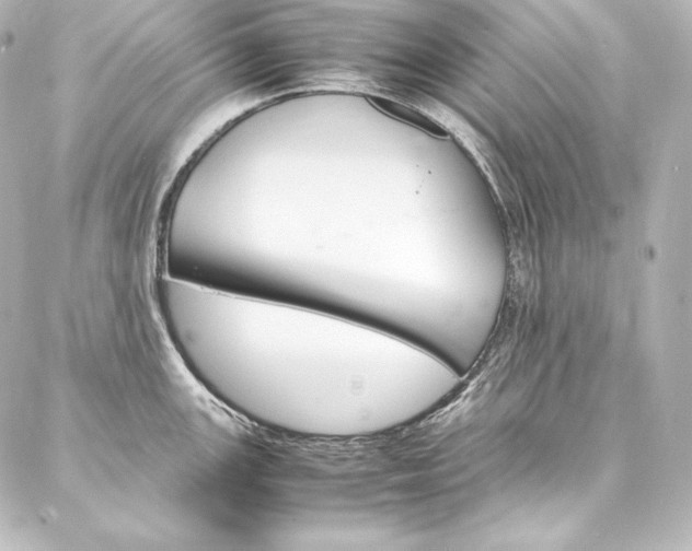 X0000088171147200705150944