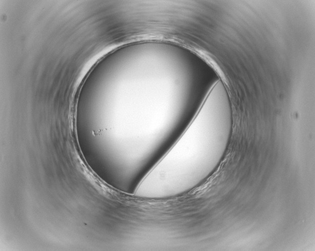 X0000088171148200705150944