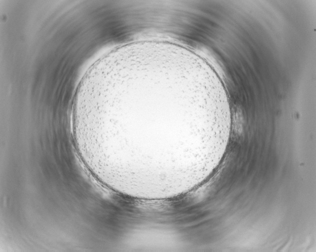 X0000088171150200705150944