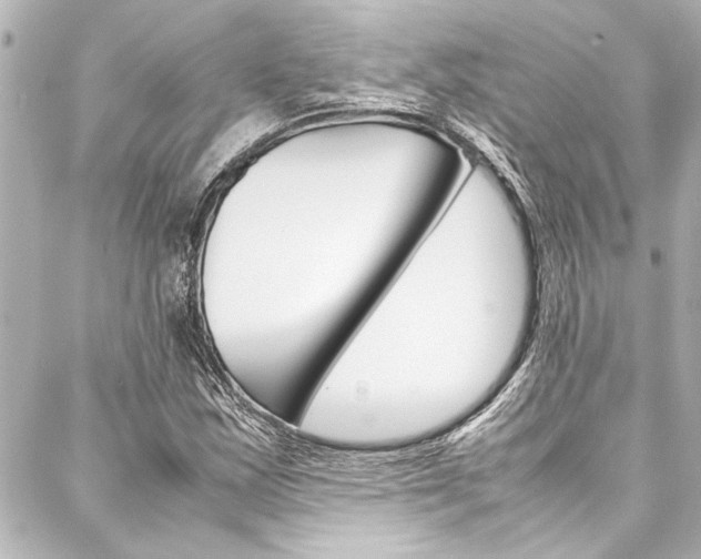 X0000088171163200705150943
