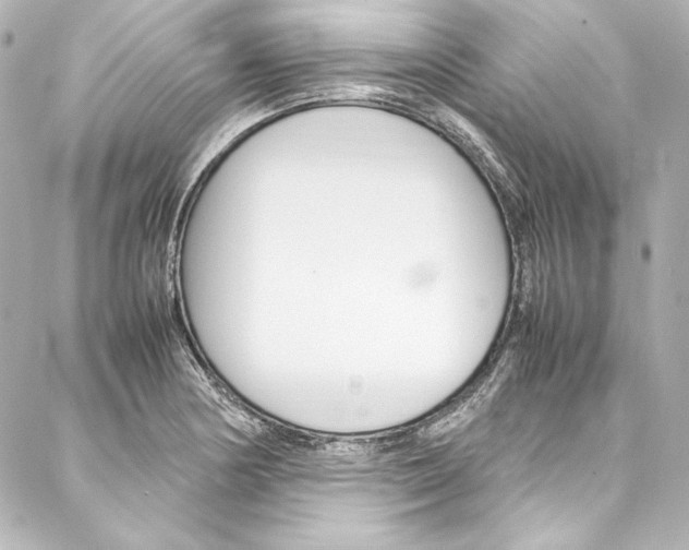 X0000088171178200705150943