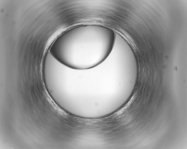 X0000088171196200705150943