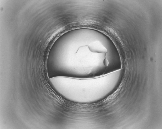 X0000088171210200705150942