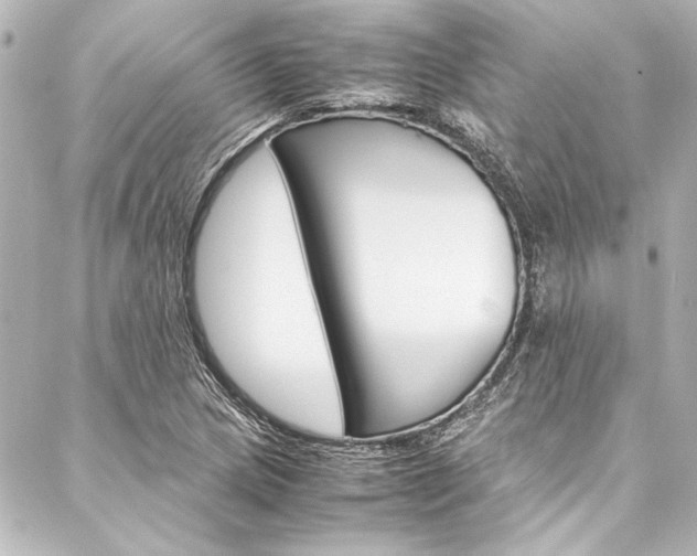 X0000088171217200705150942