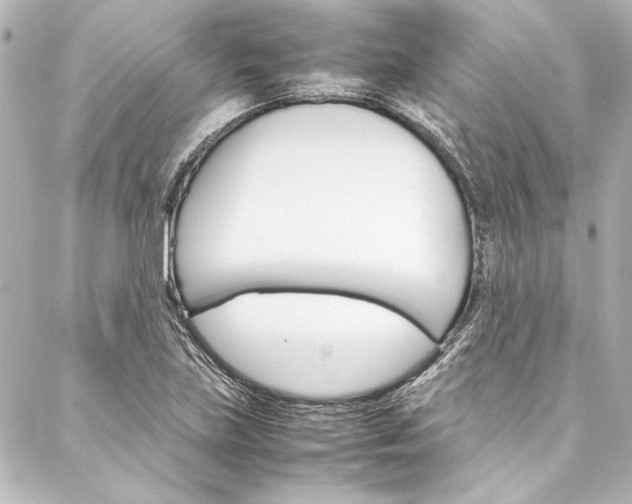 X0000088171219200705150942
