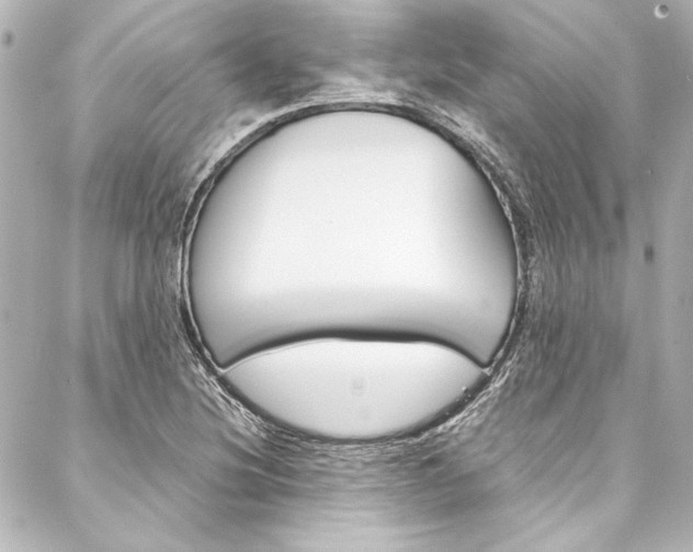 X0000088171220200705150942