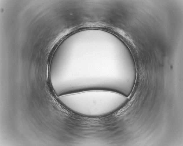 X0000088171221200705150942