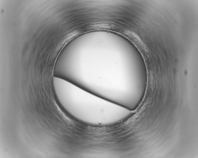 X0000088171225200705150942