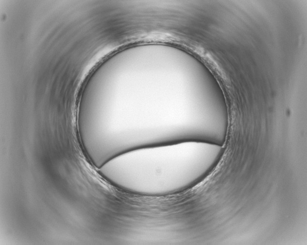 X0000088171232200705150942