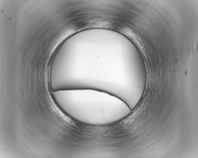 X0000088171235200705150942
