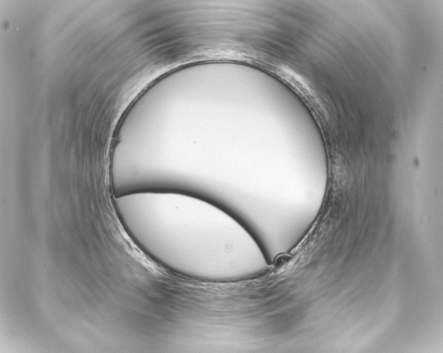 X0000088171236200705150942