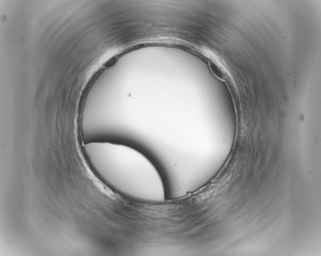 X0000088171237200705150942