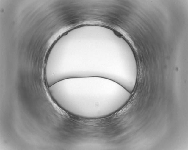 X0000088171245200705150942