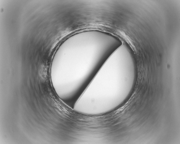 X0000088171260200705150942