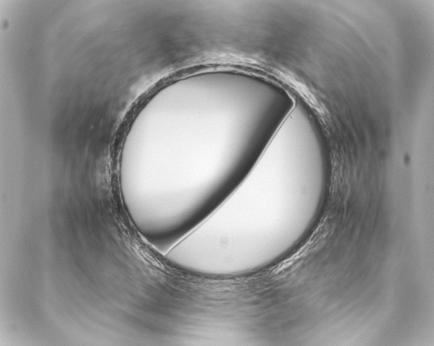 X0000088171264200705150942