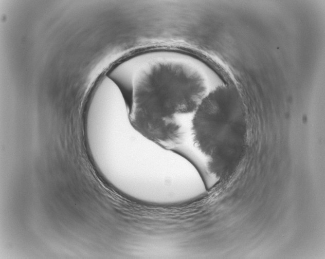 X0000088171271200705150941