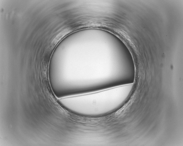 X0000088171273200705150941