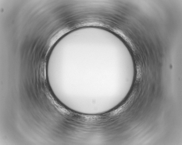 X0000088171274200705150941