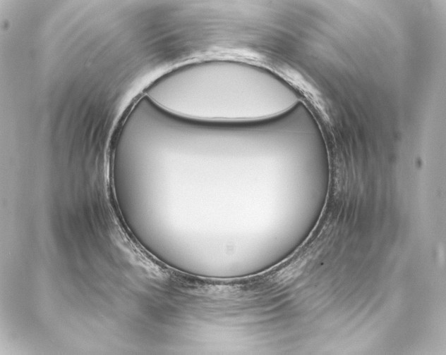 X0000088171280200705150941