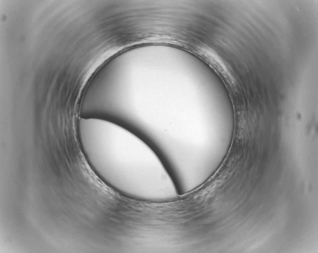 X0000088171284200705150941