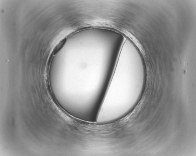 X0000088171285200705150941