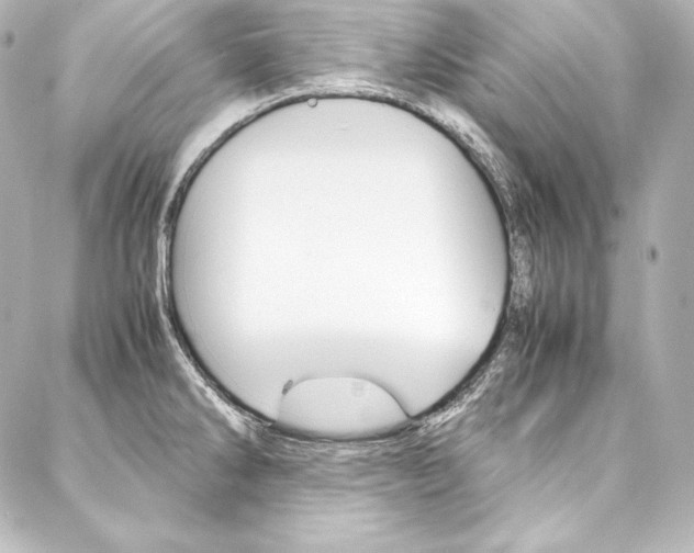 X0000088171286200705150941