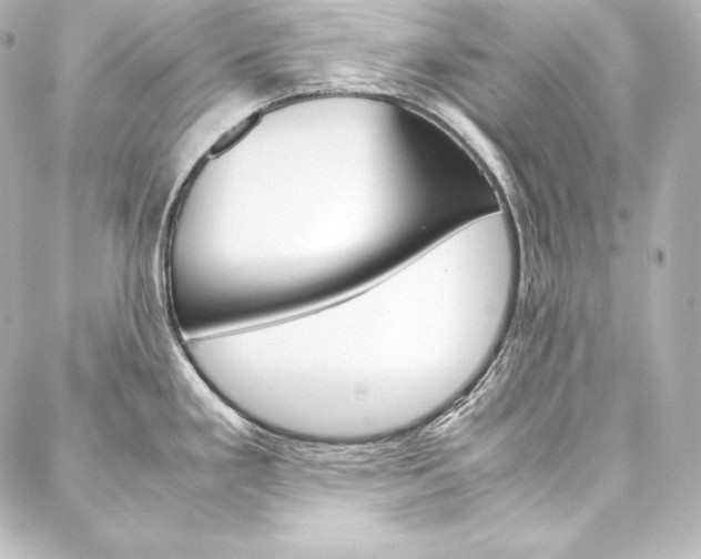X0000088171293200705150941