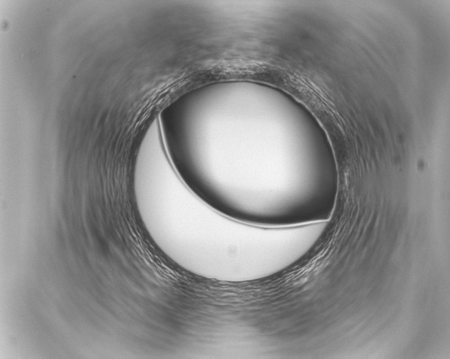 X0000088171300200705150940
