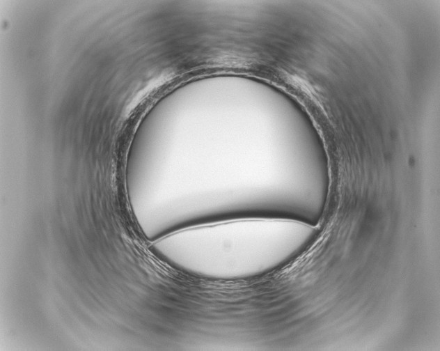 X0000088171307200705150940