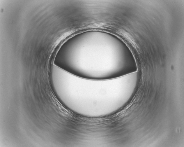 X0000088171308200705150940