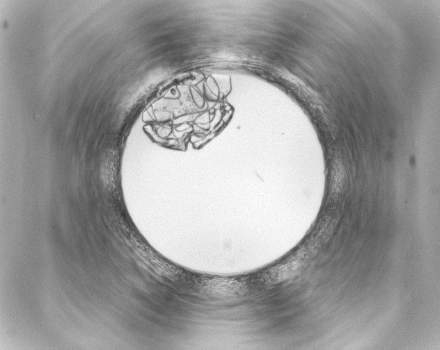 X0000088171314200705150941
