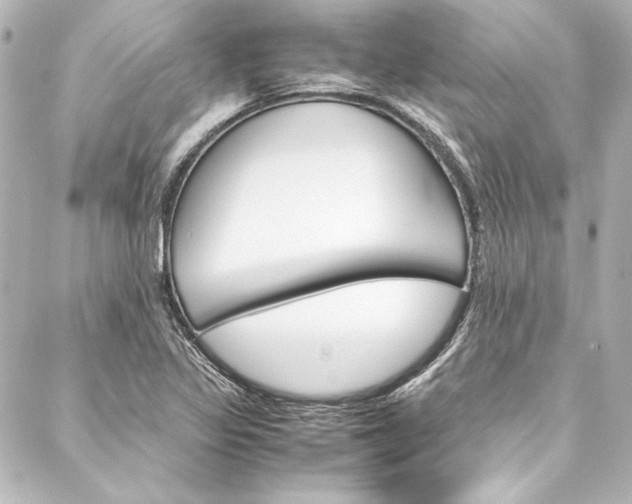 X0000088171317200705150941