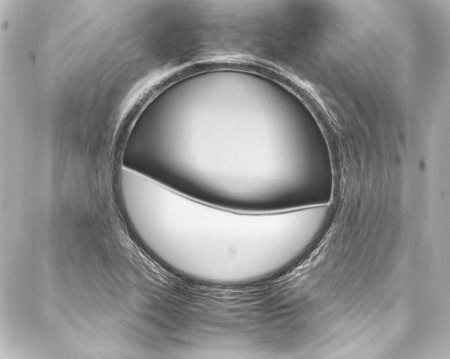 X0000088171319200705150941